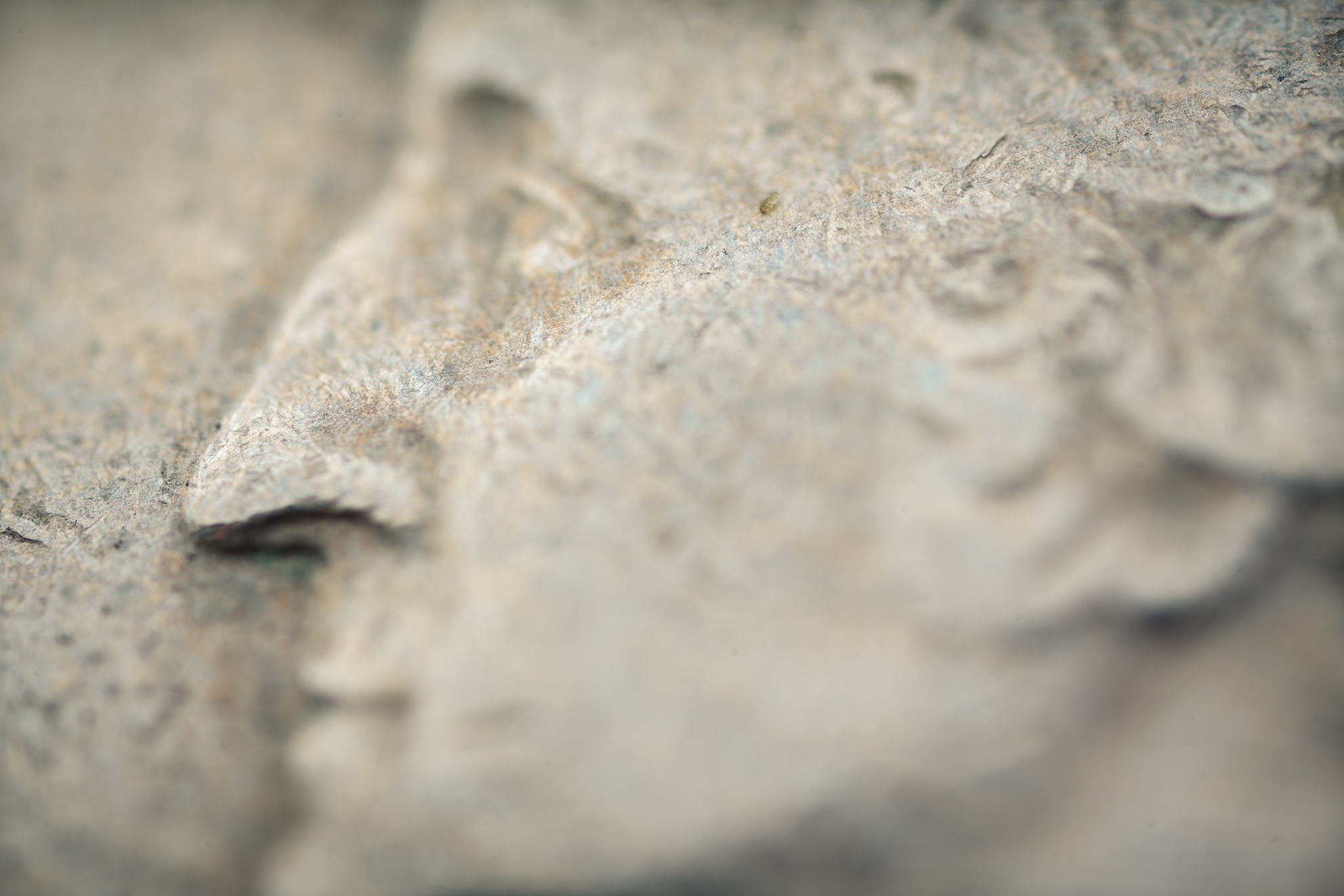 Photo by CarlosOsterling