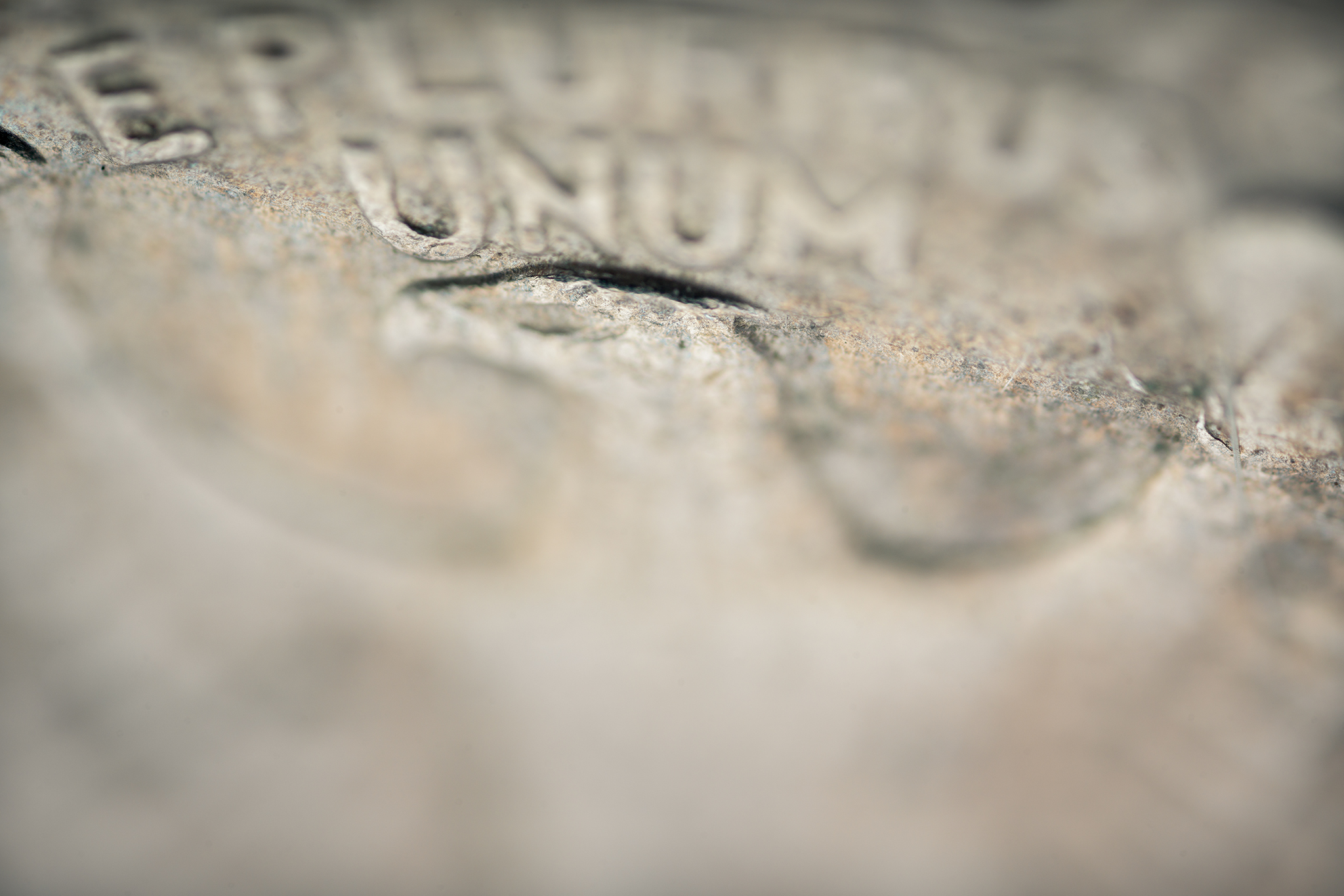 Photo by CarlosOsterling